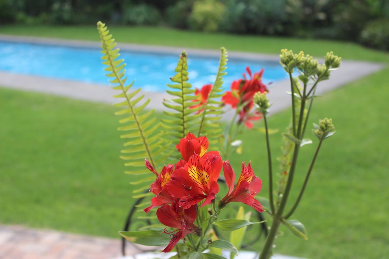 Tumbaco Rukka Lodge מראה חיצוני תמונה
